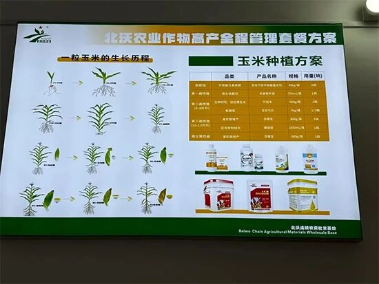微信图片_2026-10-29_081047_879.jpg