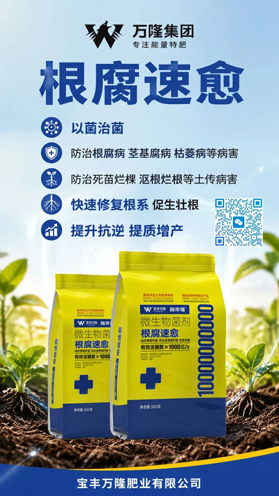 寰俊鍥剧墖_2026-10-31_081318_290.jpg 寰俊鍥剧墖_2026-10-31_081318_290.jpg