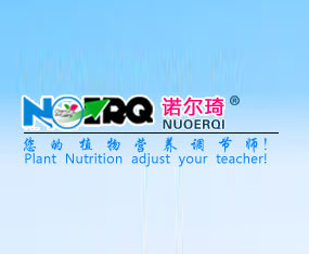 ŵ��������Ӫ����ҵ��