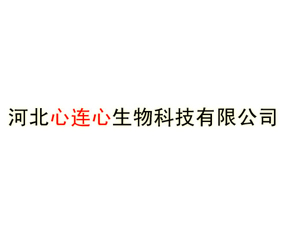�ӱ�����������Ƽ����޹�˾