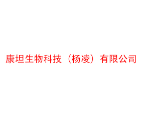 ��̹����Ƽ������裩���޹�˾
