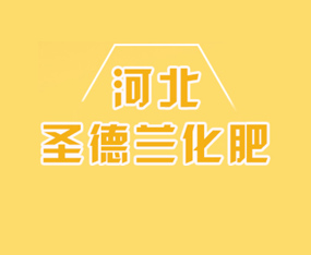�ӱ�ʥ�����������޹�˾