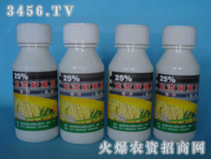 ����-25%�����ʭ��EC