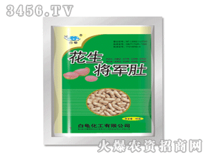�׹껨��������