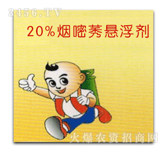 �Ʒ�-20%����ݬ������