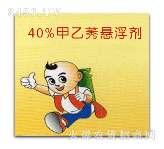 �Ʒ�-40%����ݬ������