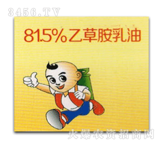 �Ʒ�-81.5%�Ҳݰ�����