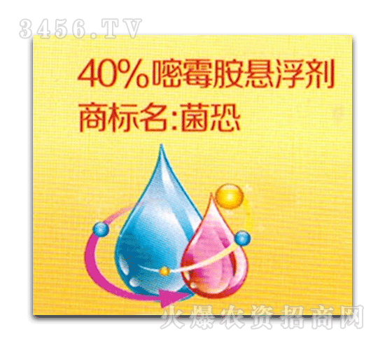 �Ʒ�-����-40%��ù��������