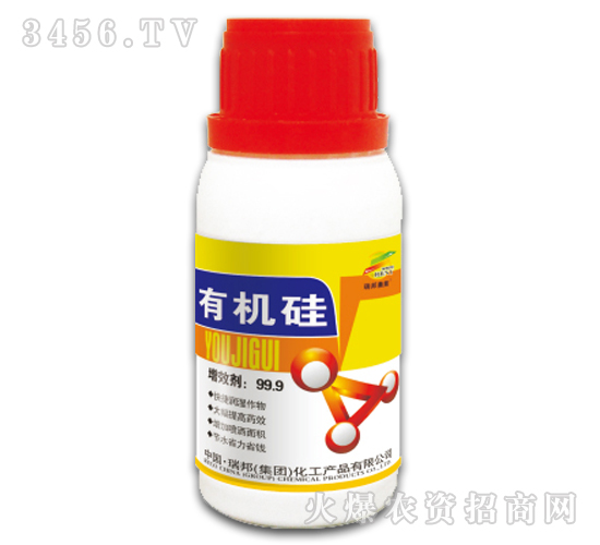 �л��裨���ڼ���-�������