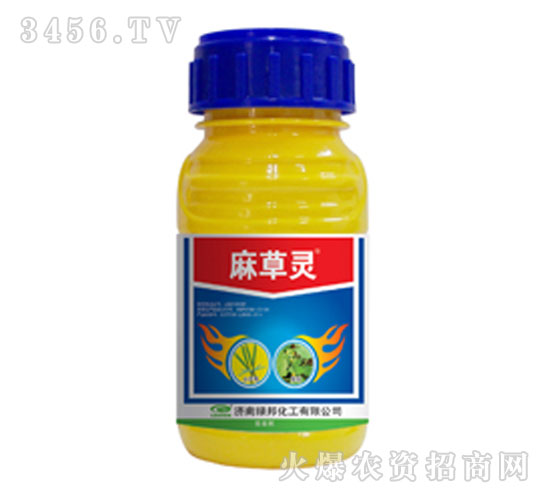 ��������ݼ�-�����-�̰�