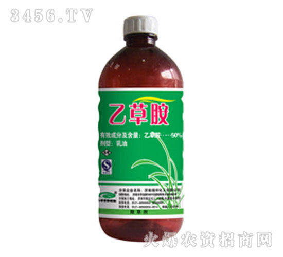 50%�Ҳݰ�-�̰�
