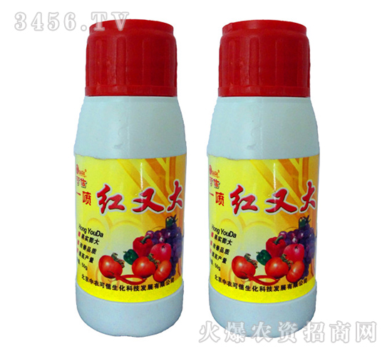 Ҷ���-һ����ִ�-��ũ����