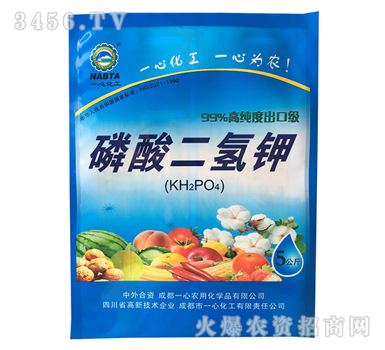 5������������Ҷ���-һ�Ļ���