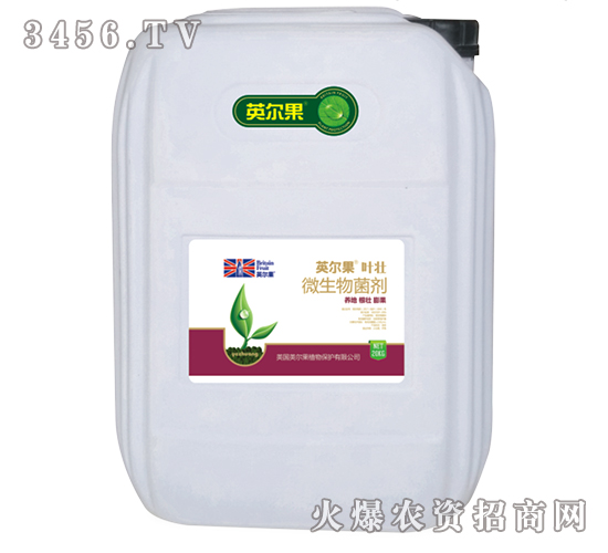20kg΢�������-Ҷ׳-Ӣ����