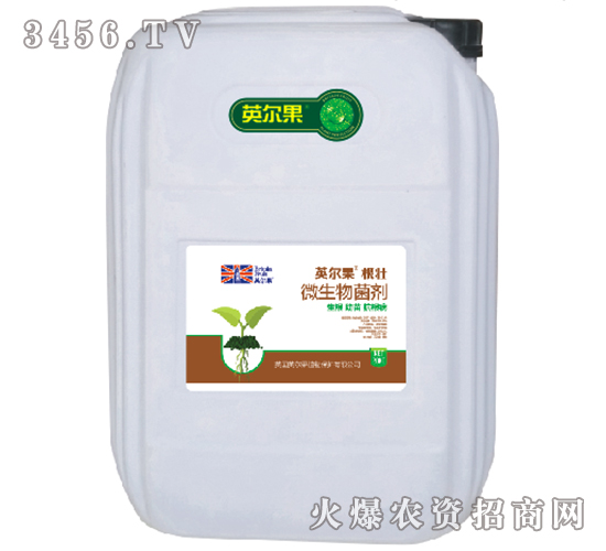20kg΢�������-��׳-Ӣ����