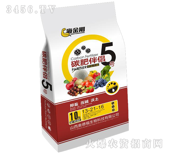 ̼�ʰ���5��-�����-�µ¸�
