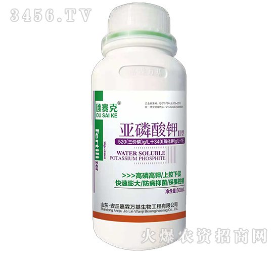 500ml�������2��-ŷ����-�������