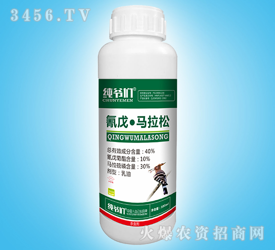 40%���졤����������-��ү��-���ⴺ��