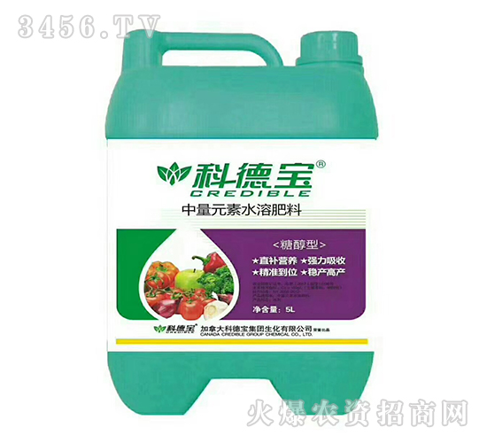 5L�Ǵ�������Ԫ��ˮ�ܷ���-�Ƶ±�