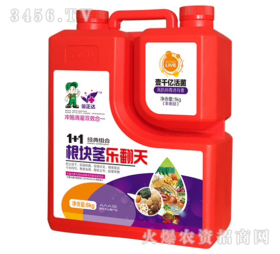 ���龥�ַ���-������ũ