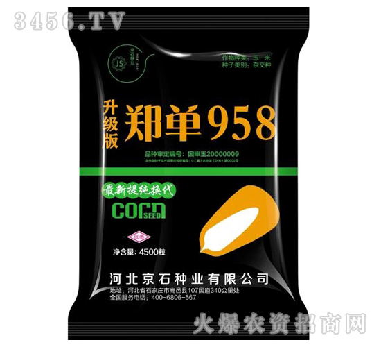 ֣��958�������棩-��������-��ʯ��ҵ