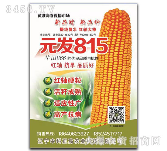 Ԫ��815-��������-�п�����