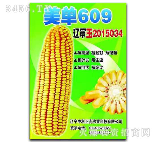 ����609-��������-�п�����