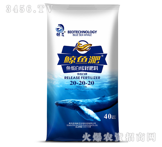 �㵰�׻��ͷ���20-20-20-������-������