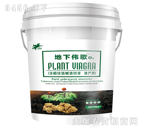 ���¿龥������-����ΰ��1��-����������Դ