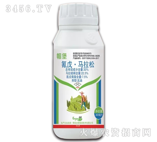 ���졤������-����-����ֲ��