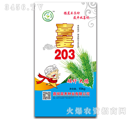 ϲ��203-С������-������ҵ