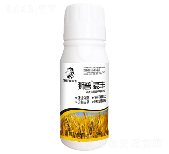 С�󿹵�����ר����Ҷ���-ʨ�����