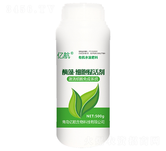 ø�塤ϸ�������-�ں�