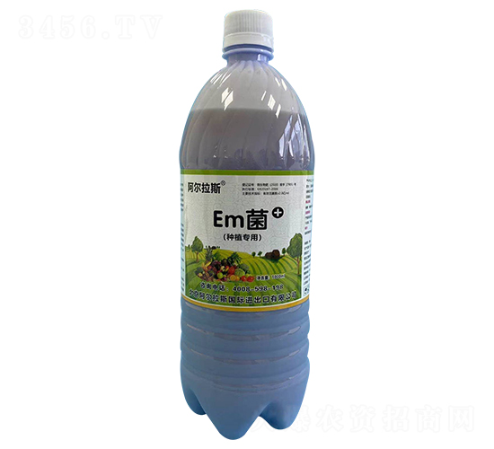 Em������ֲר�ã�-������˹-������