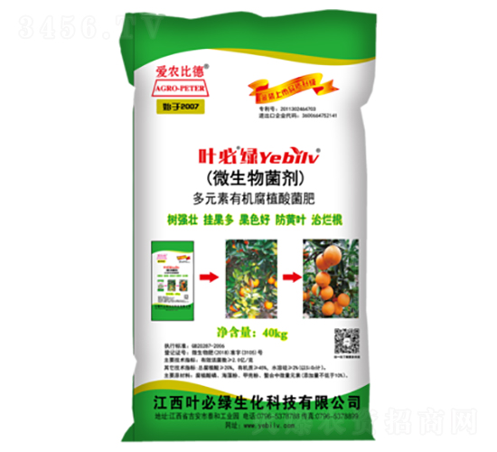 40kg΢�������-Ҷ����