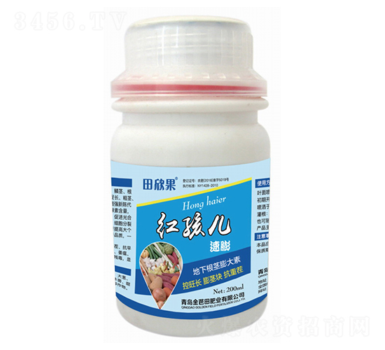 �캢��-������-�����