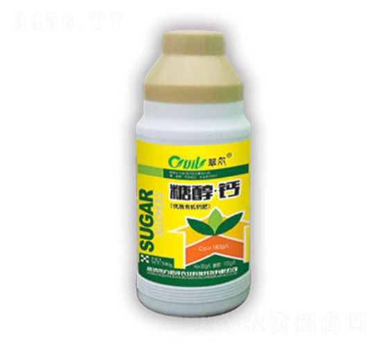 �Ǵ���-���-��������