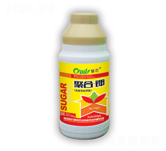�Ǵ���-���-��������