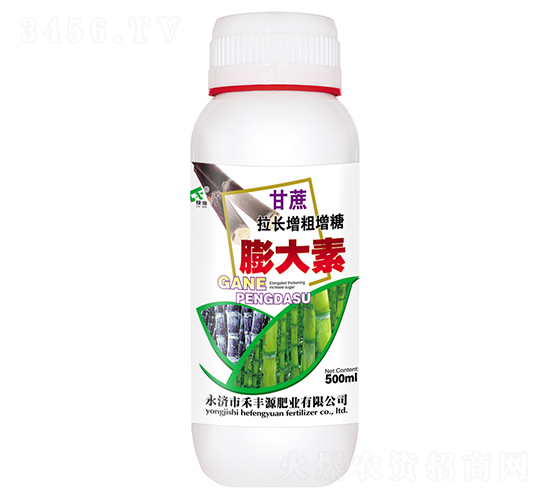 500ml���������������������-�̷�Դ