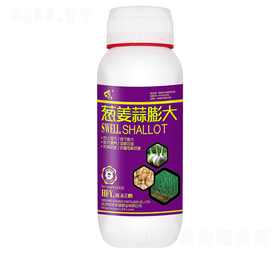 500g�н������-�̷�Դ