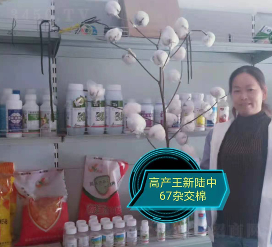 ��½��67�ӽ���-����Ԫ