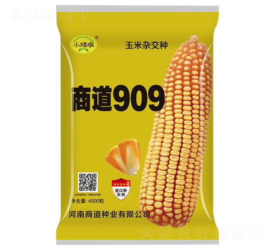 �̵�909�����ӽ���-С����-�̵���ҵ