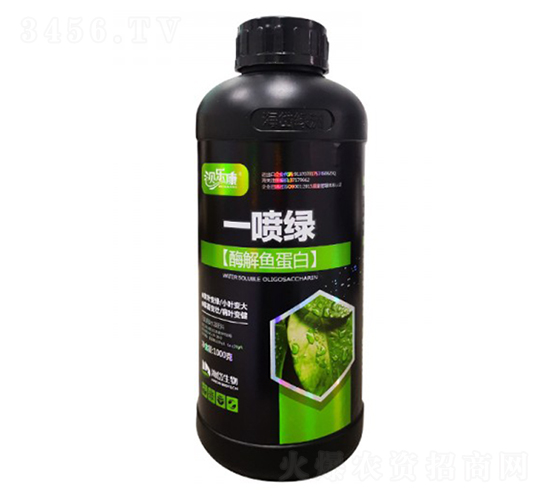 ø���㵰��-һ����-�������