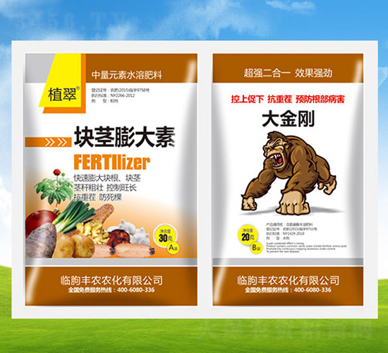 �龥�����+����-ֲ��-��ũũ��
