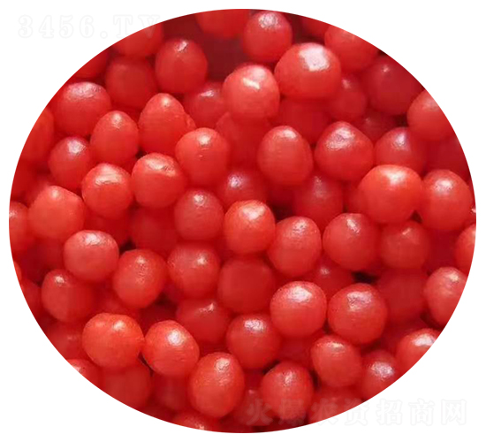 �����ͷʿ�������ɫ��-���շ�