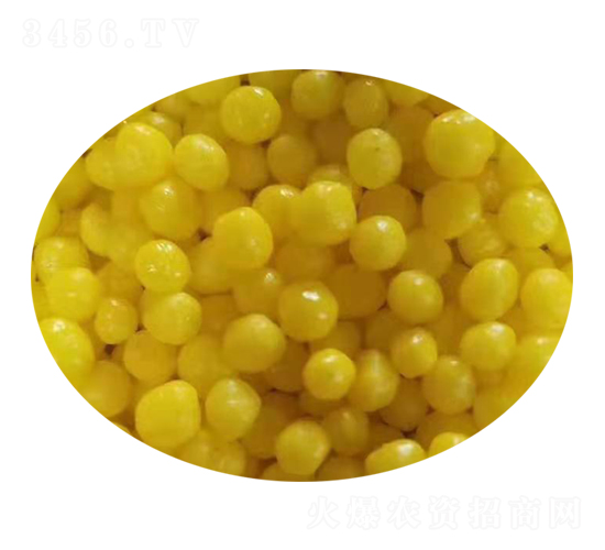 �����ͷʿ�������ɫ��-���շ�