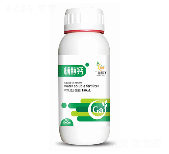 �Ǵ���-��������