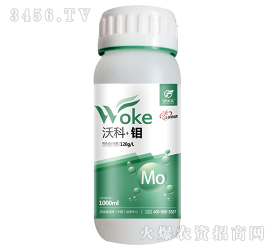 1000ml�ֿơ���-������