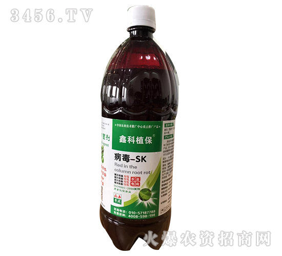 ����-SK-������