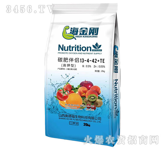 ̼�ʰ���13-4-42+TE-�����-�µ¸�